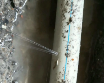 杜尔伯特卫生间测漏水多少钱