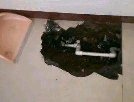 杜尔伯特卫生间测漏水多少钱
