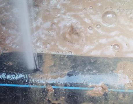 杜尔伯特卫生间防水哪家好